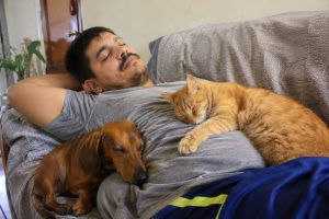 o animal que a psicologia recomenda para pessoas sozinhas