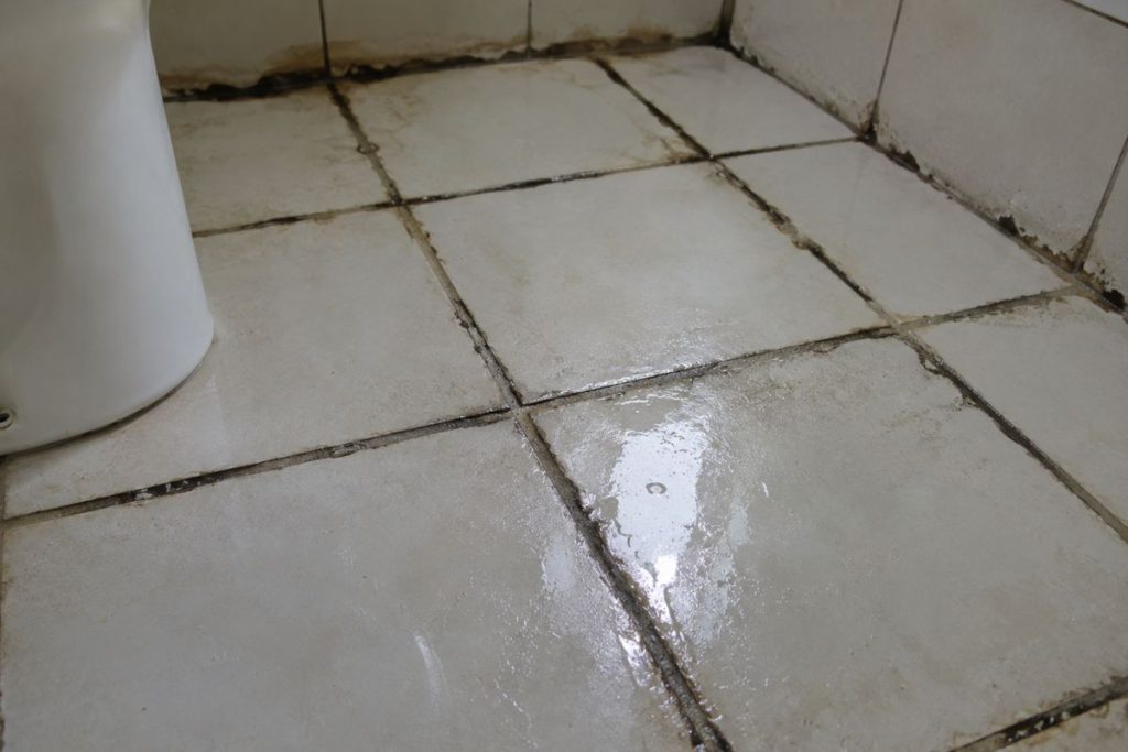 Rejunte velho no banheiro parece detalhe