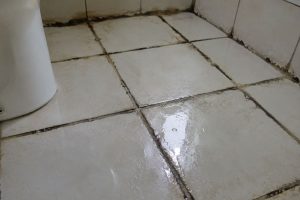 Rejunte velho no banheiro parece detalhe