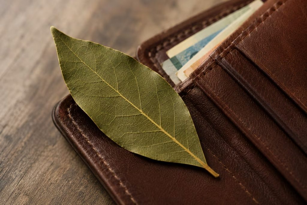 Qual amuleto da sorte você deve carregar na carteira ou na bolsa, de acordo com o mês do seu nascimento