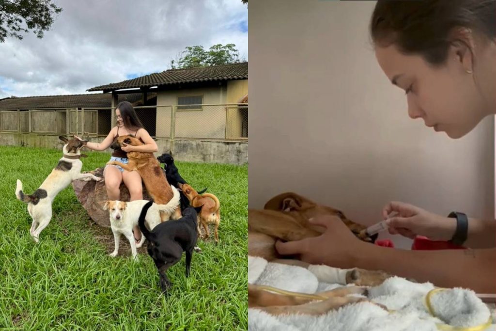 Aos 22 anos, jovem brasileira cuida de 60 cães e gatos e acumulou R$ 34 mil em dívidas para erguer um abrigo no interior do Brasil