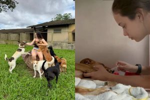 Aos 22 anos, jovem brasileira cuida de 60 cães e gatos e acumulou R$ 34 mil em dívidas para erguer um abrigo no interior do Brasil