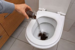 borra de café no vaso sanitário