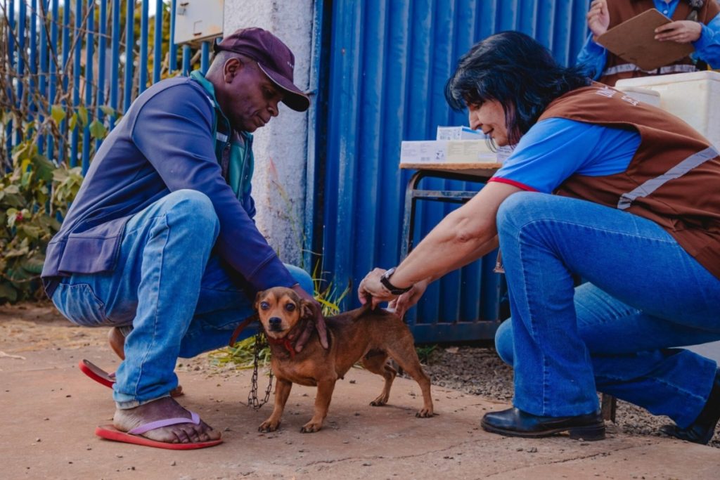 Prefeitura de Anápolis realiza Dia de Vacinação Antirrábica para pets neste sábado (04)
