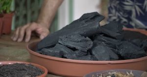 O carvão na terra das plantas melhora a drenagem, ajuda a conservar nutrientes e pode aumentar a qualidade do substrato