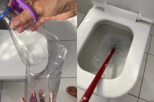 O truque para desentupir o vaso sem precisar chamar o encanador: "tudo que você precisa é uma garrafa pet"