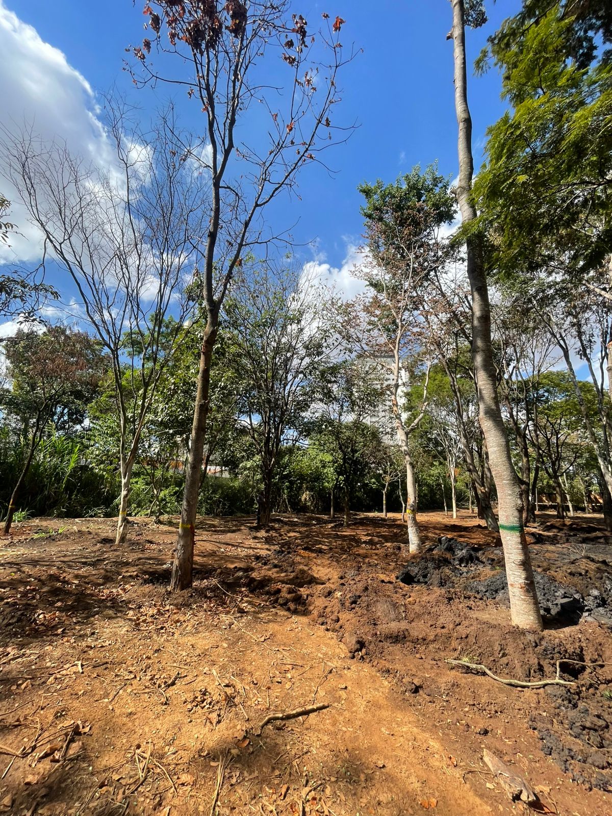 806448-20260708-201448-724899.jpeg