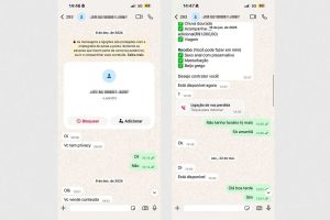 Prints das conversas entre a mulher e o empresário divulgados pelo Metrópoles. (Foto: Reprodução/Metrópoles)