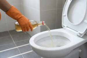 Colocar vinagre no vaso sanitário uma vez por semana: para que serve e por que é recomendado