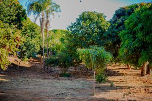 Praça na Vila Harmonia será construída em área de 2.845,95 metros quadrados.
