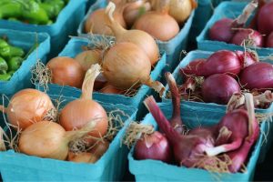 Cebola roxa ou cebola branca: veja a diferença e qual é a melhor para comprar no supermercado, segundo produtores