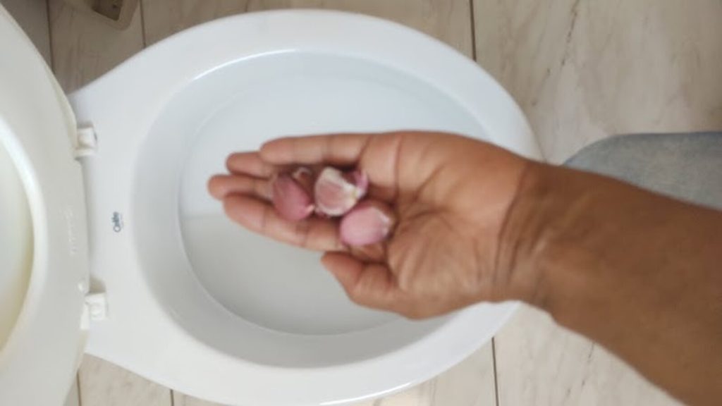Colocar um dente de alho descascado no vaso sanitário antes de dormir: para que serve e por que é recomendado