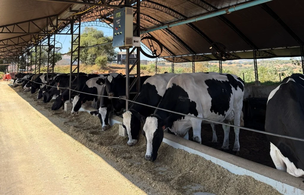 Casal comprou um tacho de R$ 20 mil sem saber fazer doce de leite e hoje fatura R$ 24 milhões por ano com marca que nasceu na fazenda dos pais