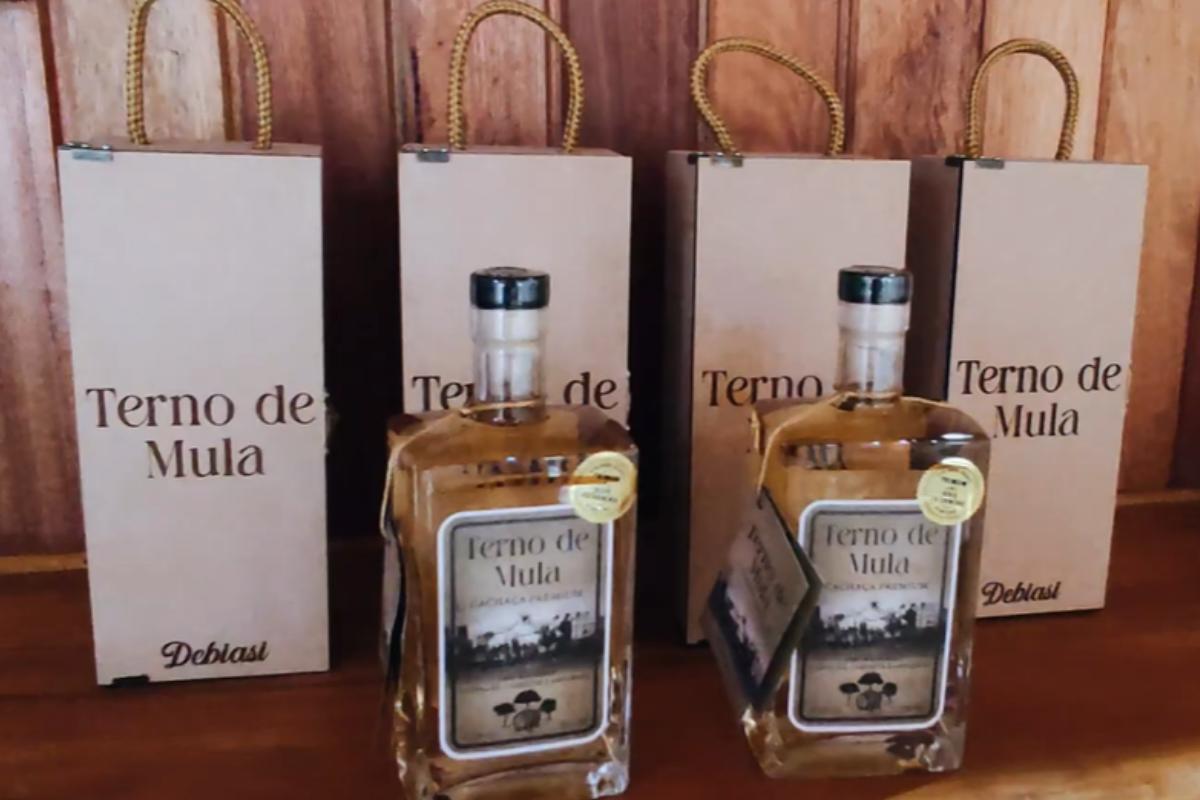 Avô plantou cana apenas para segurar a terra mudou o destino da família: 80 anos depois, ela virou uma cachaça premiada que salvou a nova geração