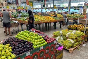 Goianésia se torna o primeiro município de Goiás a proibir abertura de supermercados aos domingos