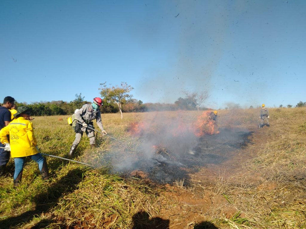 Fenômeno deve ganhar força nos próximos meses e pode provocar calor acima da média, baixa umidade e agravamento da seca em Goiás. (Foto: Governo de Goiás/Semad)