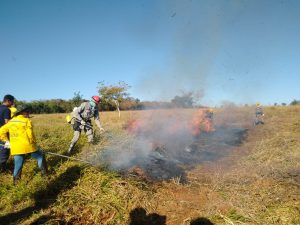 Fenômeno deve ganhar força nos próximos meses e pode provocar calor acima da média, baixa umidade e agravamento da seca em Goiás. (Foto: Governo de Goiás/Semad)