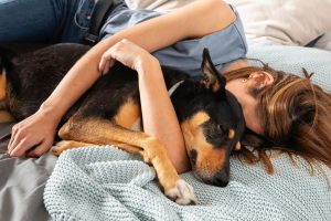 pessoas que dormem com o pet na cama costumam ter um traço específico