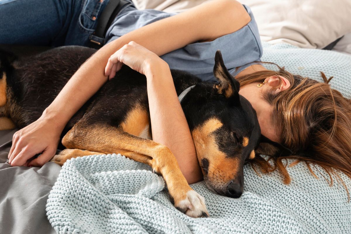 pessoas que dormem com o pet na cama costumam ter um traço específico