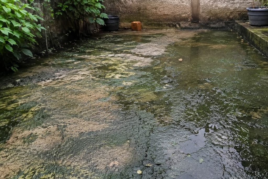 Quintal com lodo nunca mais