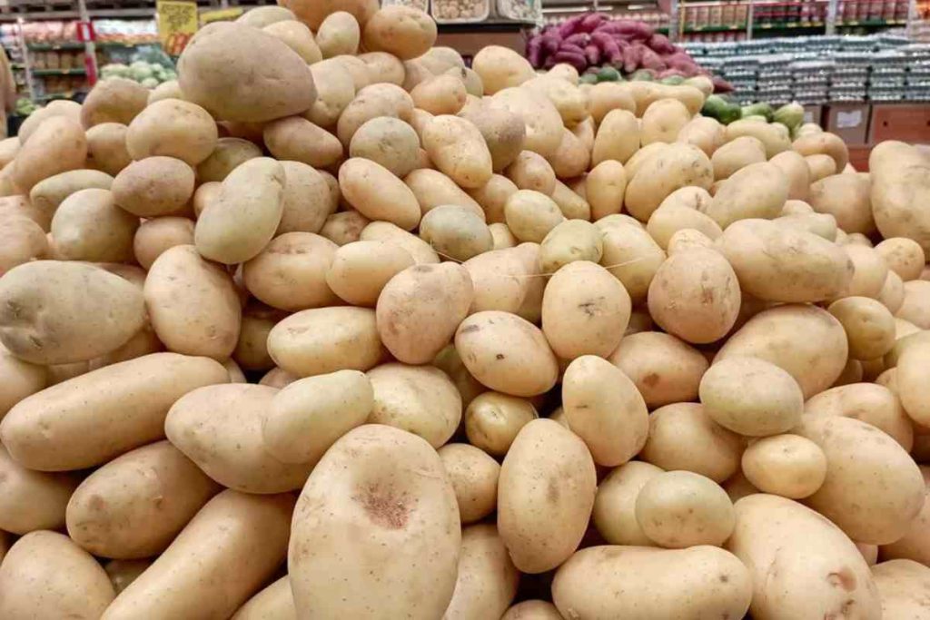 como conservar batata por mais tempo