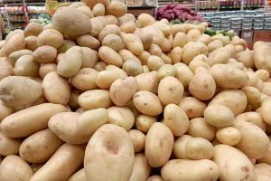como conservar batata por mais tempo