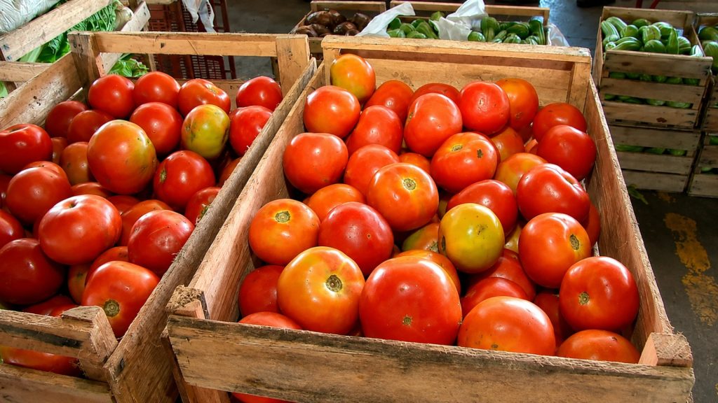 Tomate