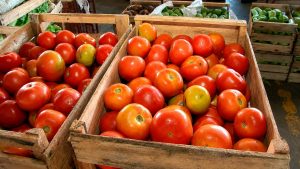Tomate