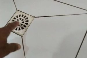 como acabar com o cheiro de esgoto que volta pelo ralo