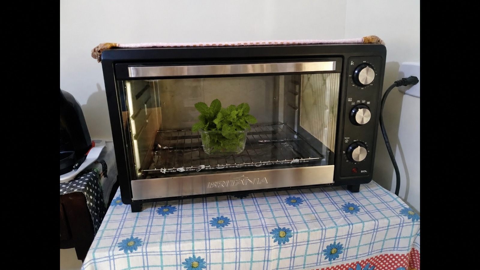 Colocar folhas de hortelã dentro do forno desligado: para que serve e por que é recomendado
