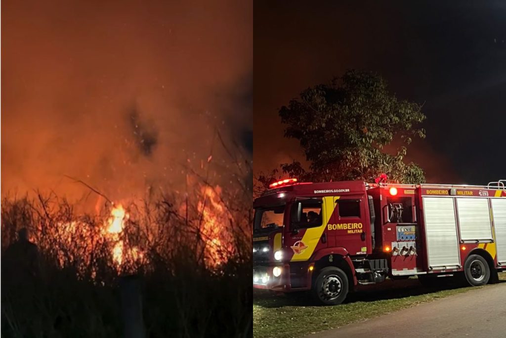 Incêndio de grandes proporções que atingiu área próxima à UFG pode ter sido proposital