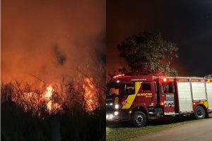Incêndio de grandes proporções que atingiu área próxima à UFG pode ter sido proposital