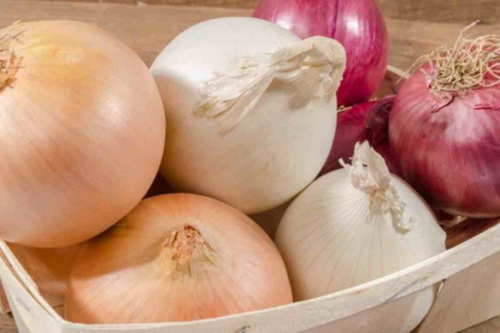 Cebola amarela, roxa, branca ou chalote: veja a diferença e qual é a melhor para comprar no supermercado