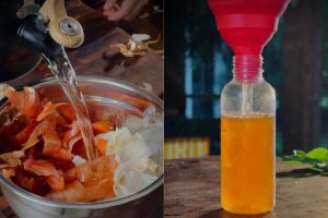 As cascas de alho e cebola podem ser reaproveitadas em receitas práticas e até em um repelente natural para plantas
