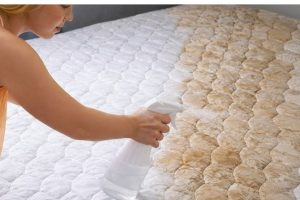 Misturar água com álcool e borrifar no colchão