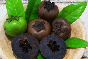A fruta exótica que tem gosto de chocolate, é rica em antioxidantes, é fácil de cultivar no quintal e a criançada adora, segundo jardineiros