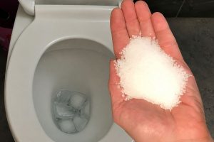 jogar sal com gelo no vaso sanitário