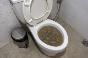 como desentupir o vaso sanitário