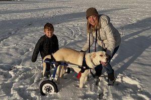 Após duas cirurgias sem sucesso e mais de R$ 56 mil em dívidas, mãe pensou em devolver o cão paralisado, mas o filho a impediu e começou a vender lanches para pagar o tratamento do pet