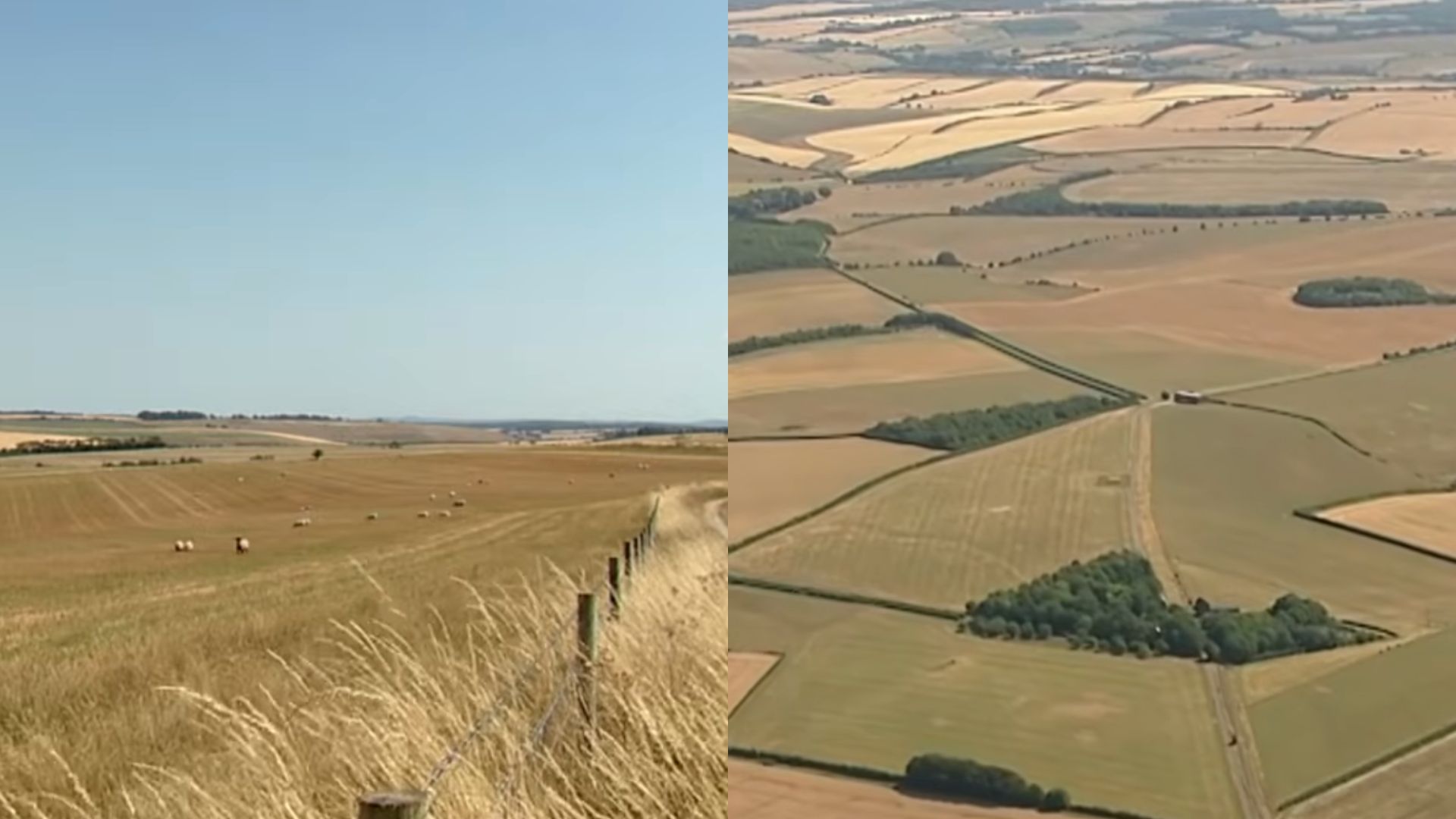Metade da Inglaterra entra em seca oficial após calor e pouca chuva