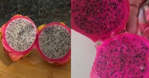 Pitaya de polpa branca e vermelha possui benefícios distintos, e entender essas diferenças ajuda a fazer uma escolha mais consciente