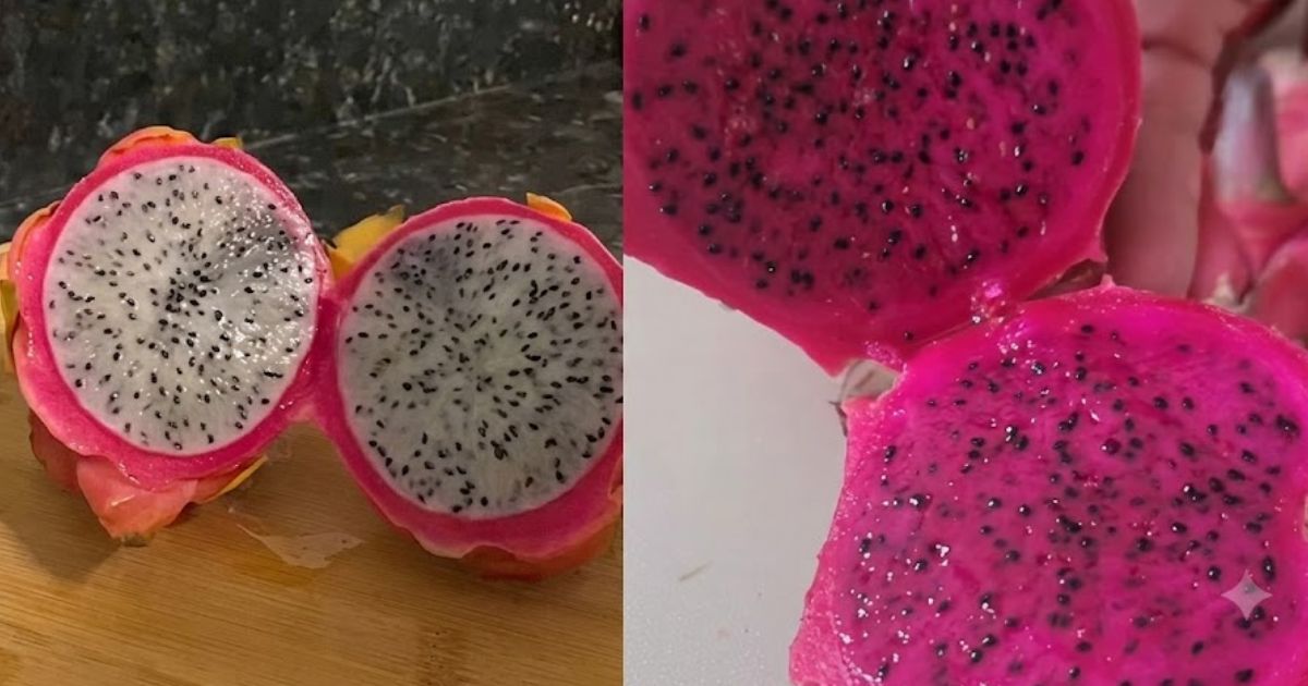 Pitaya de polpa branca e vermelha possui benefícios distintos, e entender essas diferenças ajuda a fazer uma escolha mais consciente