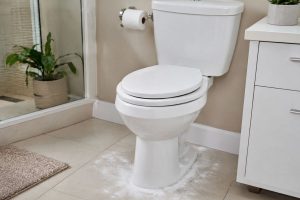 Colocar bicarbonato ao redor do vaso sanitário