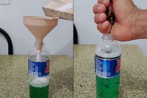 Não é inseticida, nem veneno: como eliminar os insetos de casa com uma misturinha feita com ingredientes que você já tem