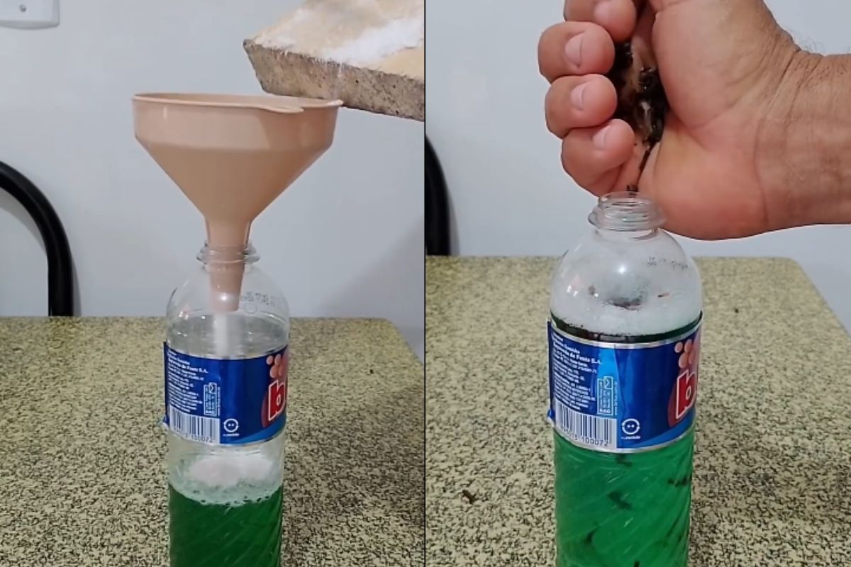 Não é inseticida, nem veneno: como eliminar os insetos de casa com uma misturinha feita com ingredientes que você já tem