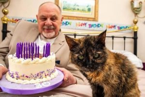 A gata mais velha do mundo tem o equivalente a 146 anos humanos, come camarão fresco e salmão, só bebe uma marca específica de água mineral e dorme com dois ventiladores ligados
