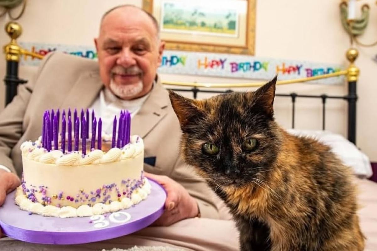 A gata mais velha do mundo tem o equivalente a 146 anos humanos, come camarão fresco e salmão, só bebe uma marca específica de água mineral e dorme com dois ventiladores ligados