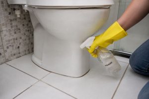 Limpeza vaso sanitário