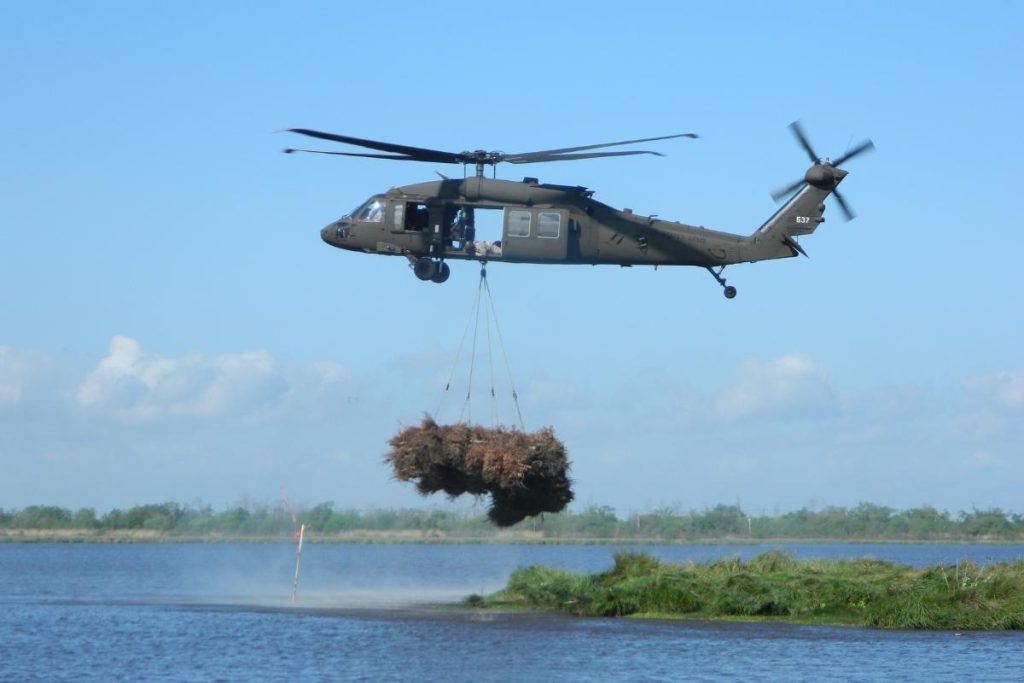 Guarda Nacional junta quase 9 mil árvores de Natal jogadas fora e lança de helicóptero dentro do pântano para recuperar um manguezal do tamanho de 330 campos de futebol