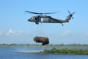 Guarda Nacional junta quase 9 mil árvores de Natal jogadas fora e lança de helicóptero dentro do pântano para recuperar um manguezal do tamanho de 330 campos de futebol